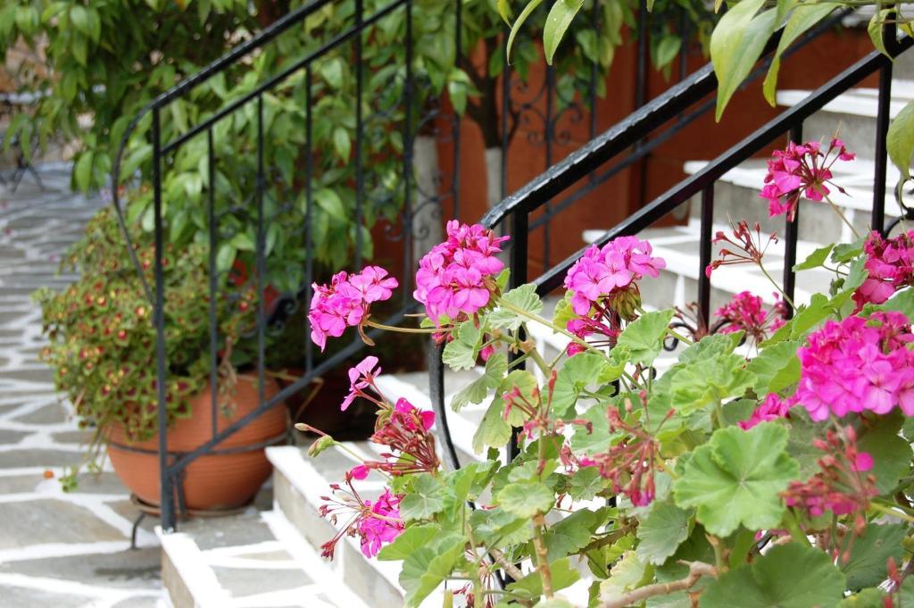 Hotel Villa Marie Sívota Exterior foto